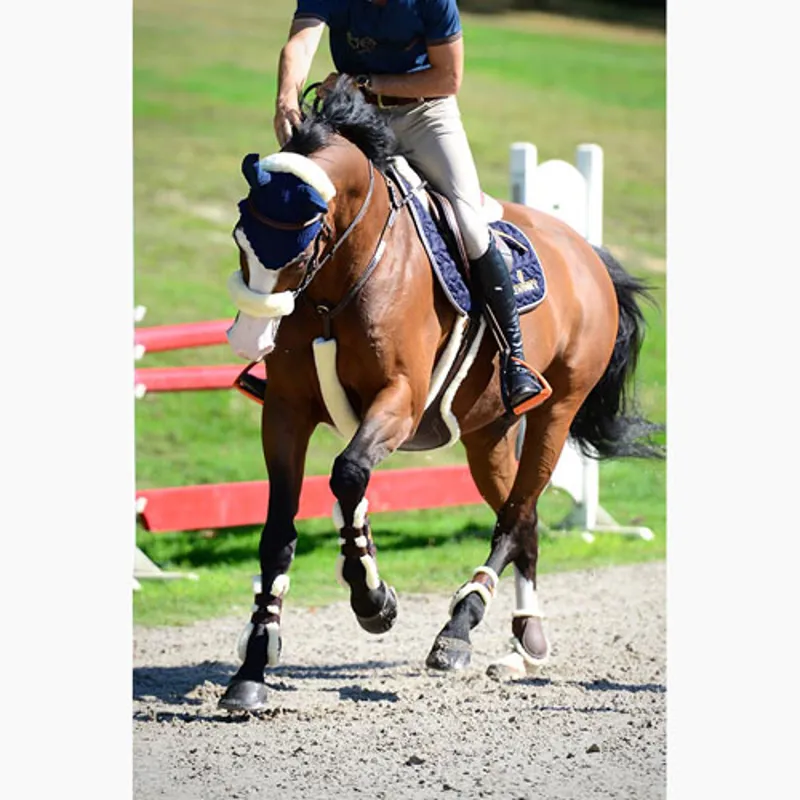 Kentucky Sheepskin Breastplate Cover - Natural-1