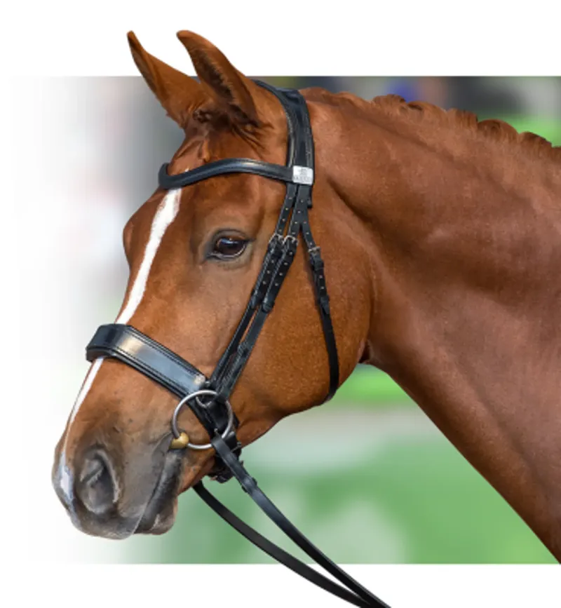Fairfax Cavesson Noseband Black Fine-1