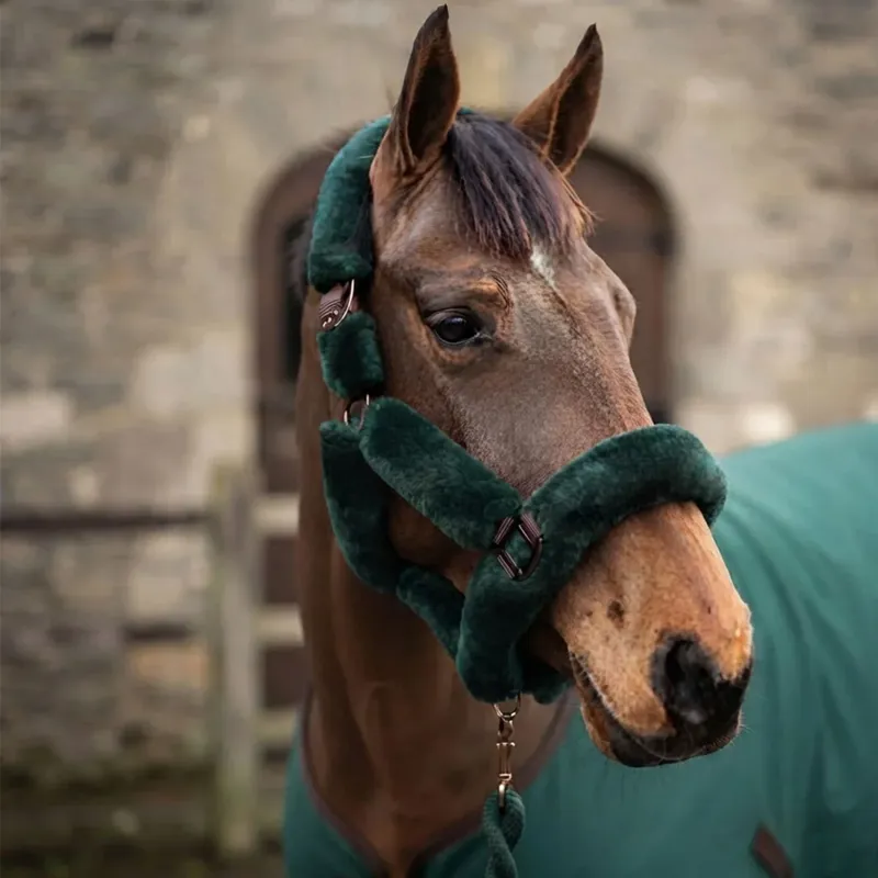 CAMEO Deluxe Headcollar - Evergreen-1