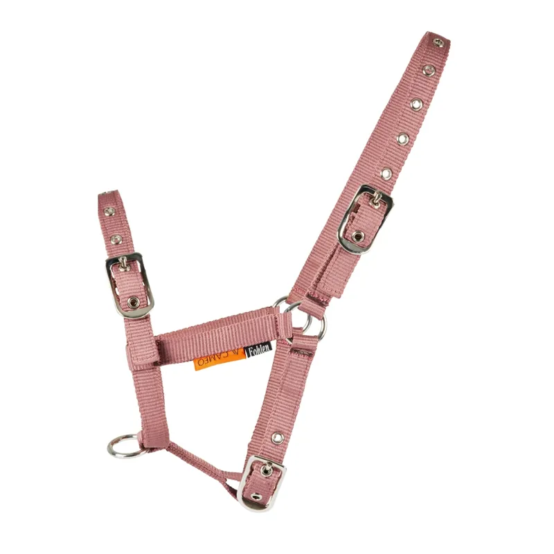 Cameo Foal Headcollar - Dusky Pink