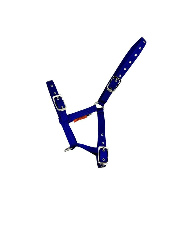 Cameo Foal Headcollar - Navy