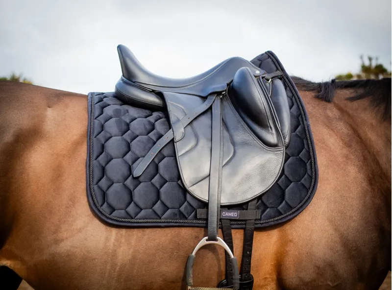 Cameo Suede Dressage Saddlecloth in Black-1