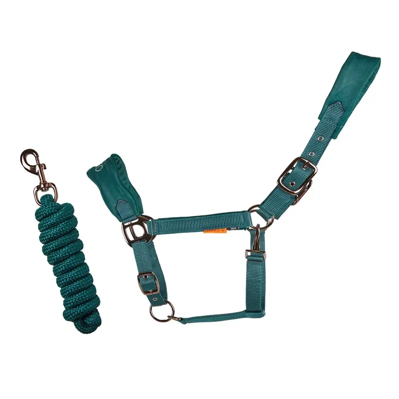 Suede Elite Headcollar and Leadrope - Evergreen-1