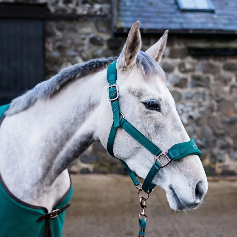 Suede Elite Headcollar and Leadrope - Evergreen