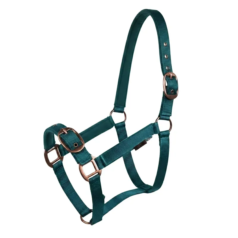 Suede Padded Headcollar - Evergreen-1