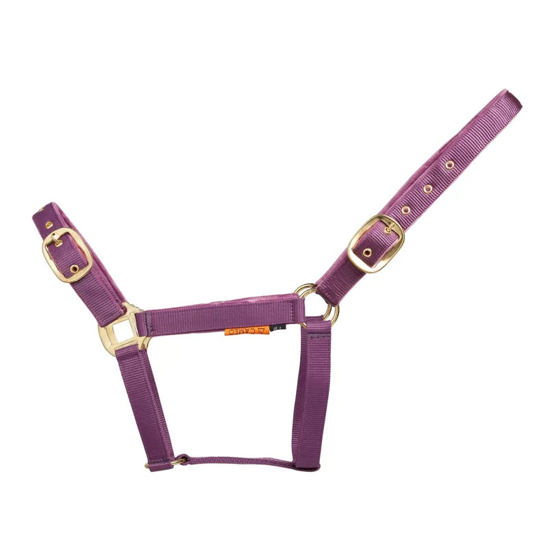 Cameo Suede Padded Headcollar - Deep Purple