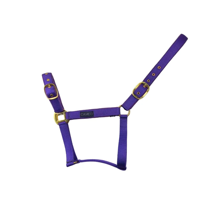 Cameo Suede Padded Headcollar - Deep Purple-1