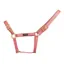 Cameo Suede Padded Headcollar - Dusky Pink