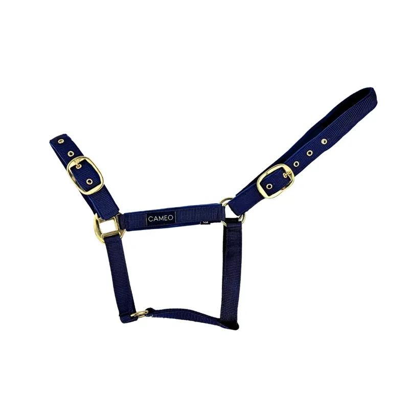 Cameo Suede Padded Headcollar - Navy