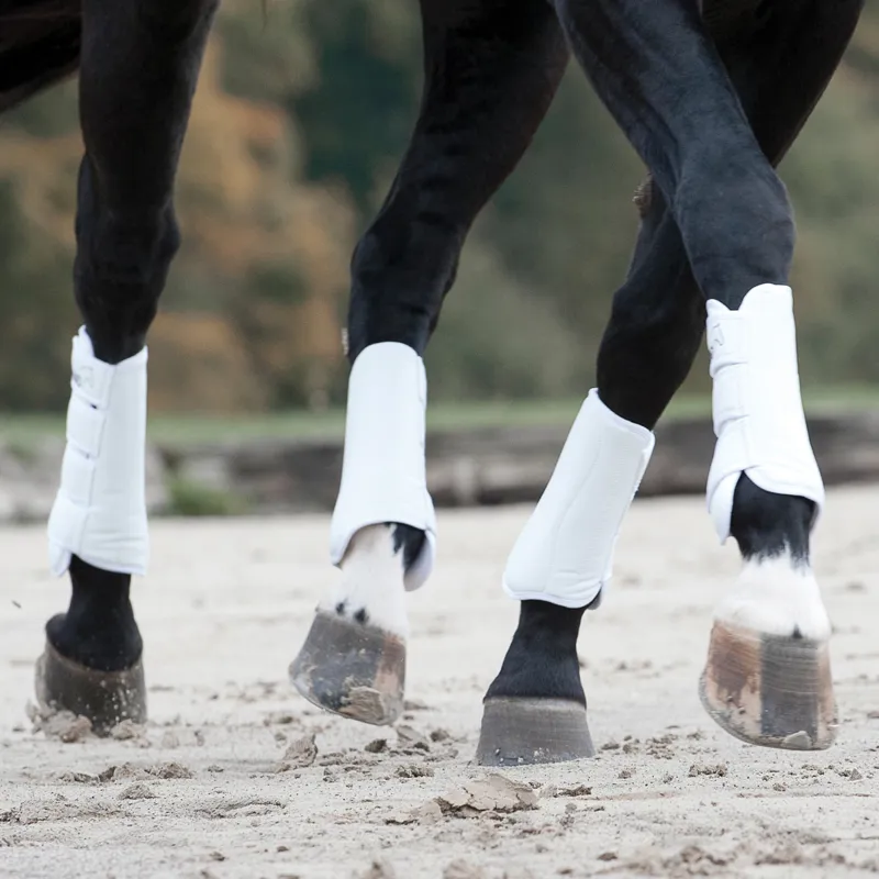 Catago Dressage Boots White-1