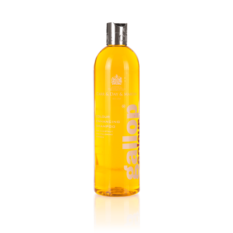 Carr and Day and Martin 500 ml Gallop Shampoo - Chestnut and Palomino