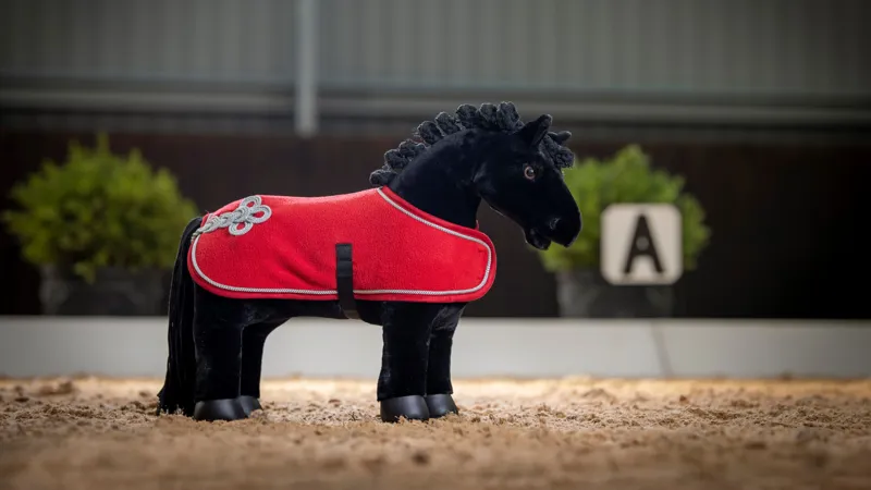 LeMieux Toy Pony Rug - Chilli-2