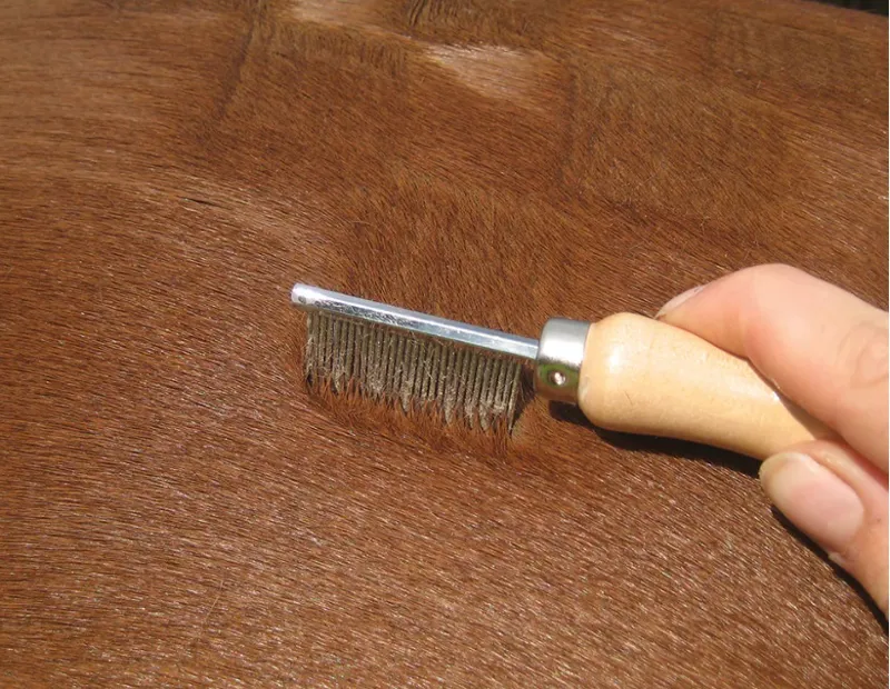 Smart Tails Quarter Marker Comb-1