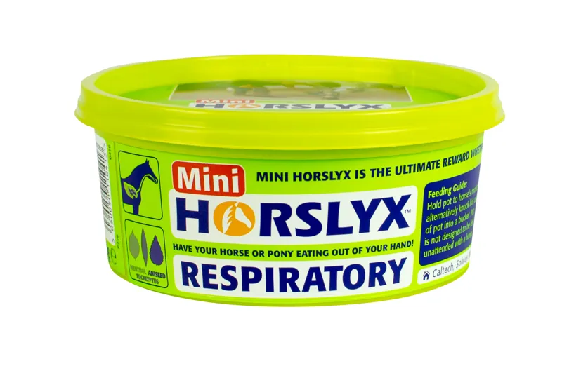 Horslyx Respiratory Mini Lick - 650g
