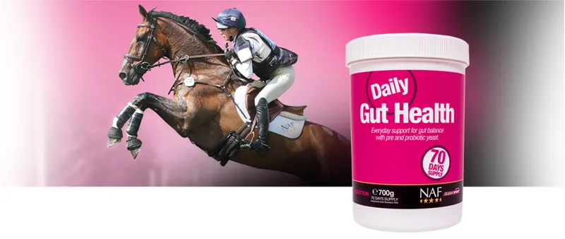 NAF Daily Gut Health 700gm