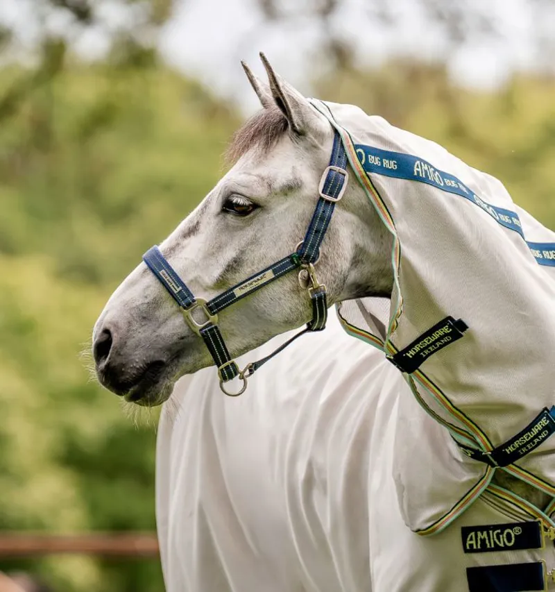 Horseware Fieldsafe Headcollar - Navy