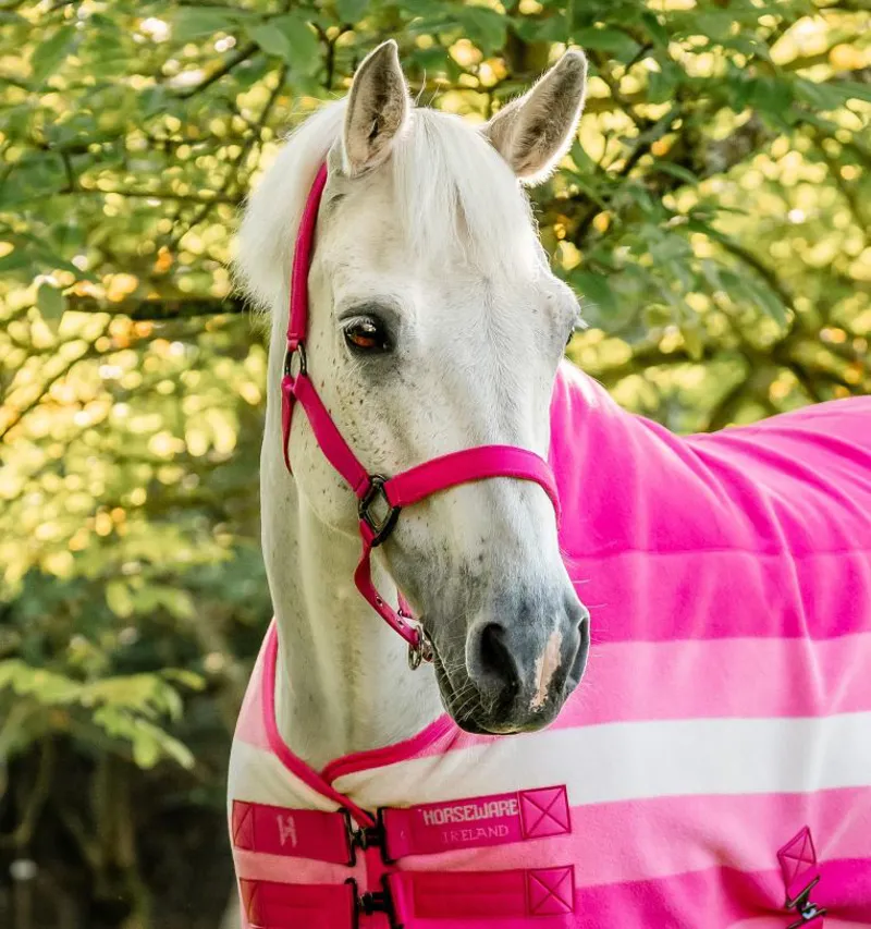 Horseware Newmarket Headcollar and Leadrope - Witney Pink-1