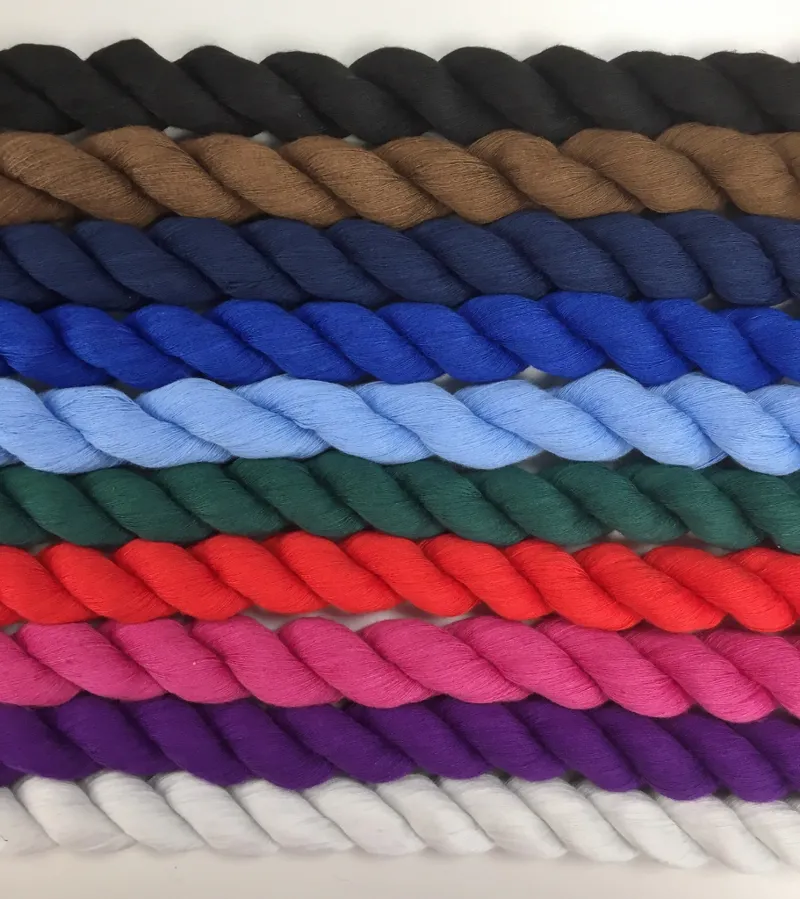 Best Lead Rope - Black