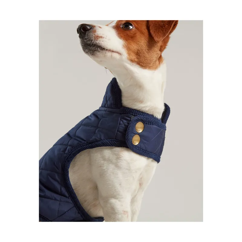 Joules Quilted Dog Coat - Navy -2
