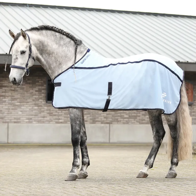 Equilibrium Quick Chill Cool Rug Light Blue