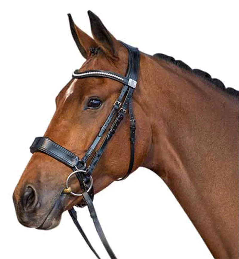Fairfax Stallion Headpiece Brown-1