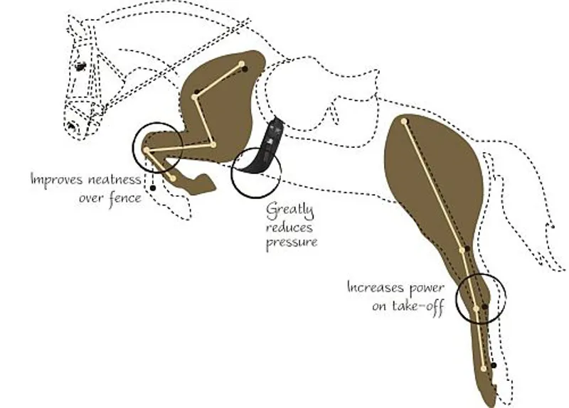 Fairfax Long Girth Standard Gauge Black-1