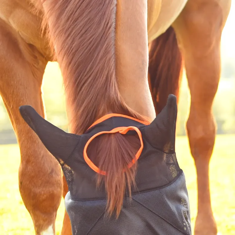 Equilibrium Field Relief Midi Fly mask with Ears - Black/Orange Trim-1