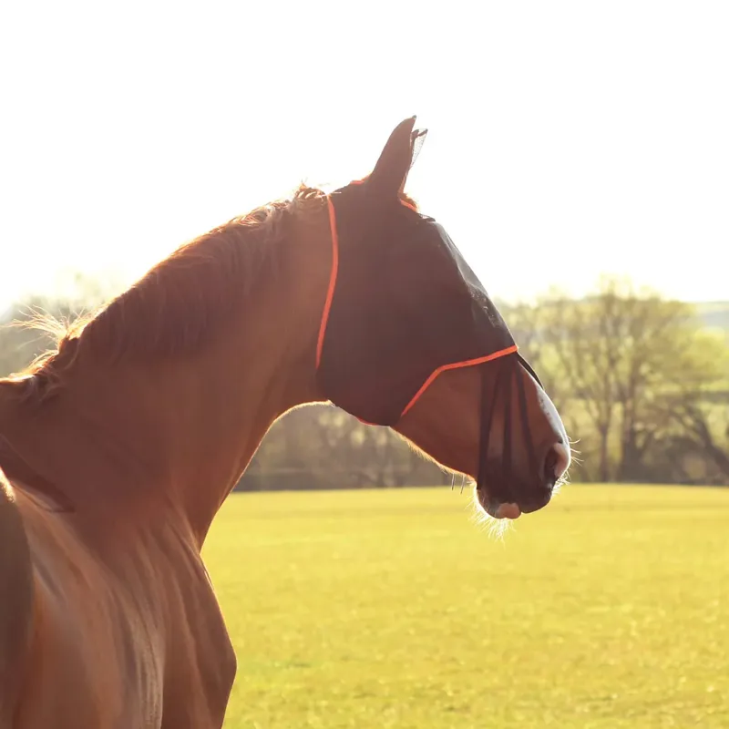 Equilibrium Field Relief Midi Fly mask with Ears - Black/Orange Trim-2