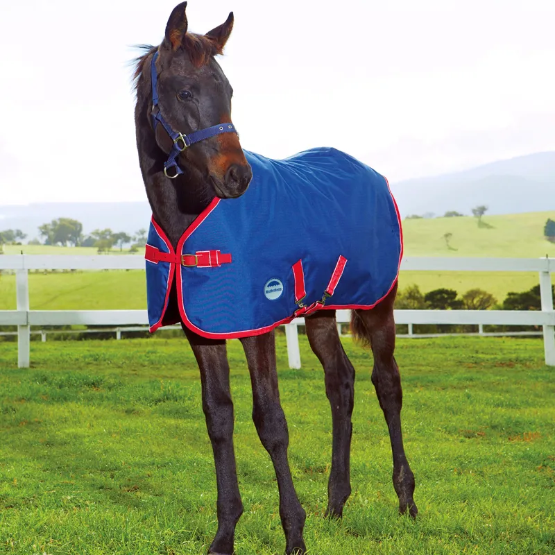 Weatherbeeta 1200D Foal Rug Standard Neck Medium Navy 220g