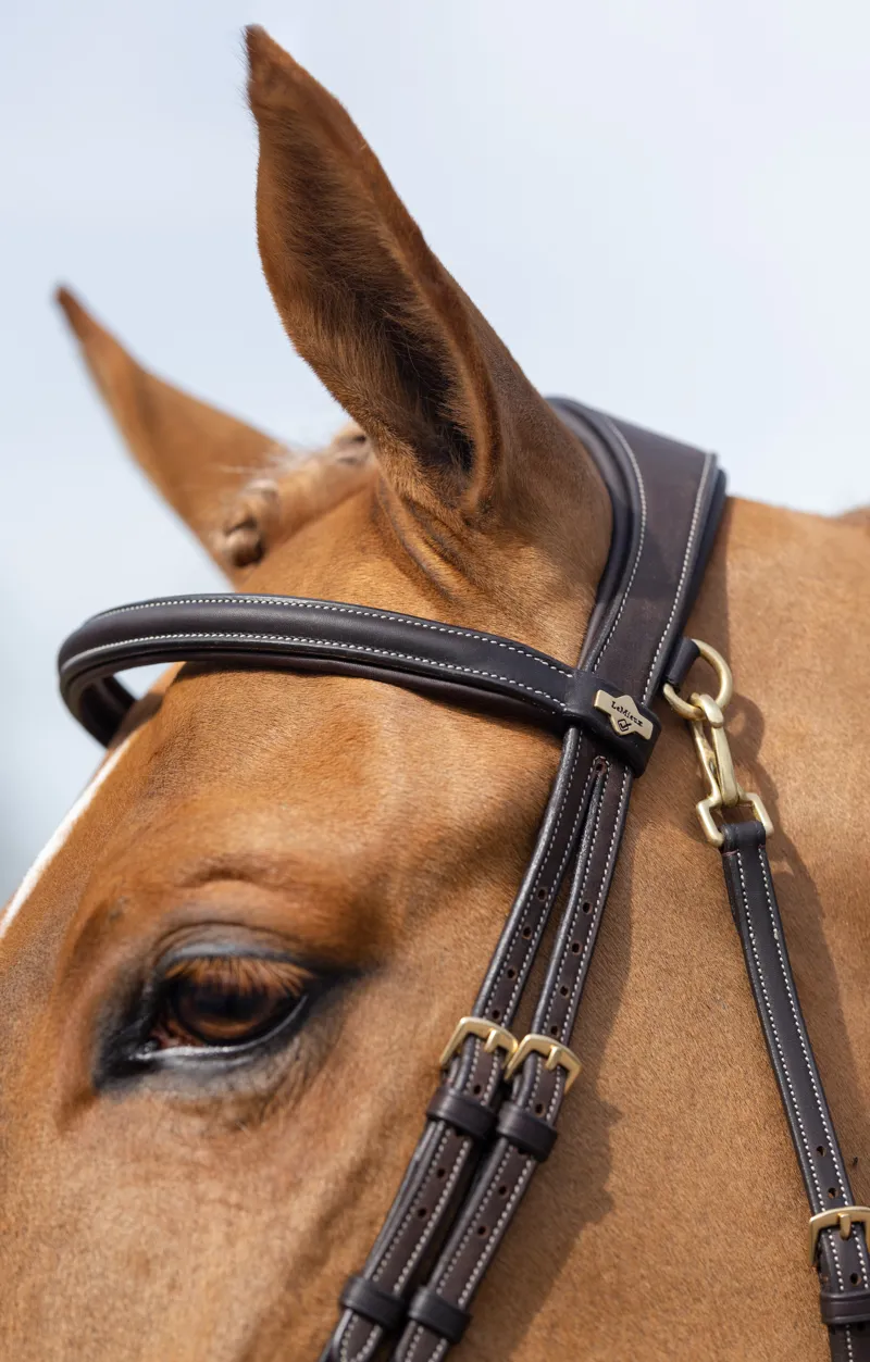 LeMieux Kudos Work Bridle - Brown-3