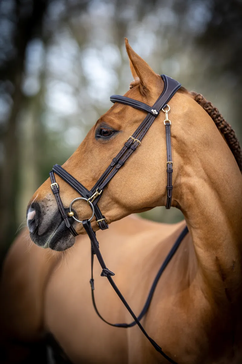 LeMieux Kudos Work Bridle - Brown-2