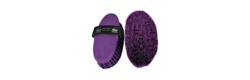 Haas Brenig Madoc Grooming Brush in Purple