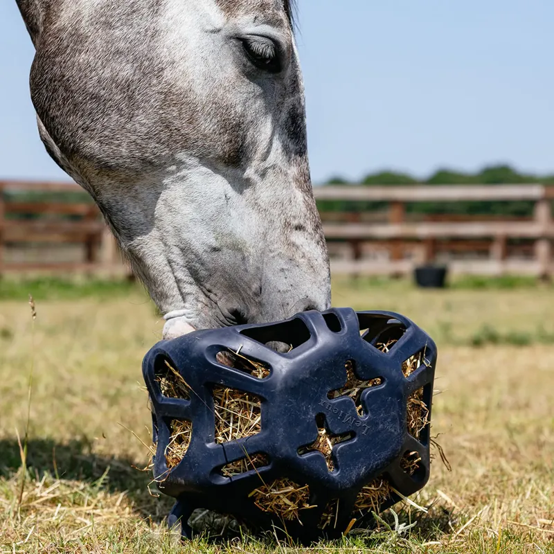 LeMieux Hay Ball - Navy-4