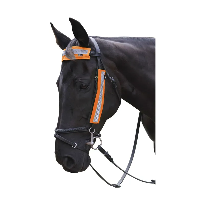 HyVIZ Bridle Set - Orange 