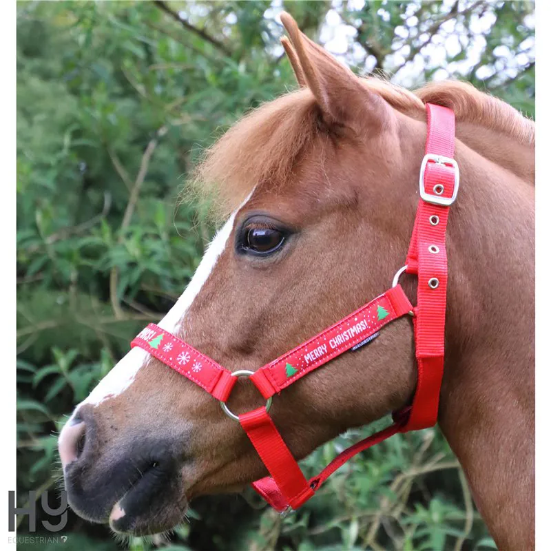 Hy Equestrian Christmas Merry Christmas Head Collar and Lead Rope - Red