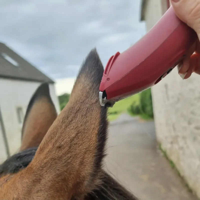 Liveryman Nova Trimmer-1