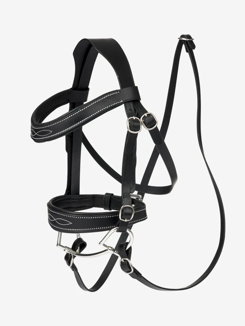 Cheap horse tack discount