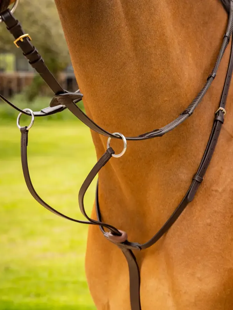 Arika Running Martingale Brown/Silver-1