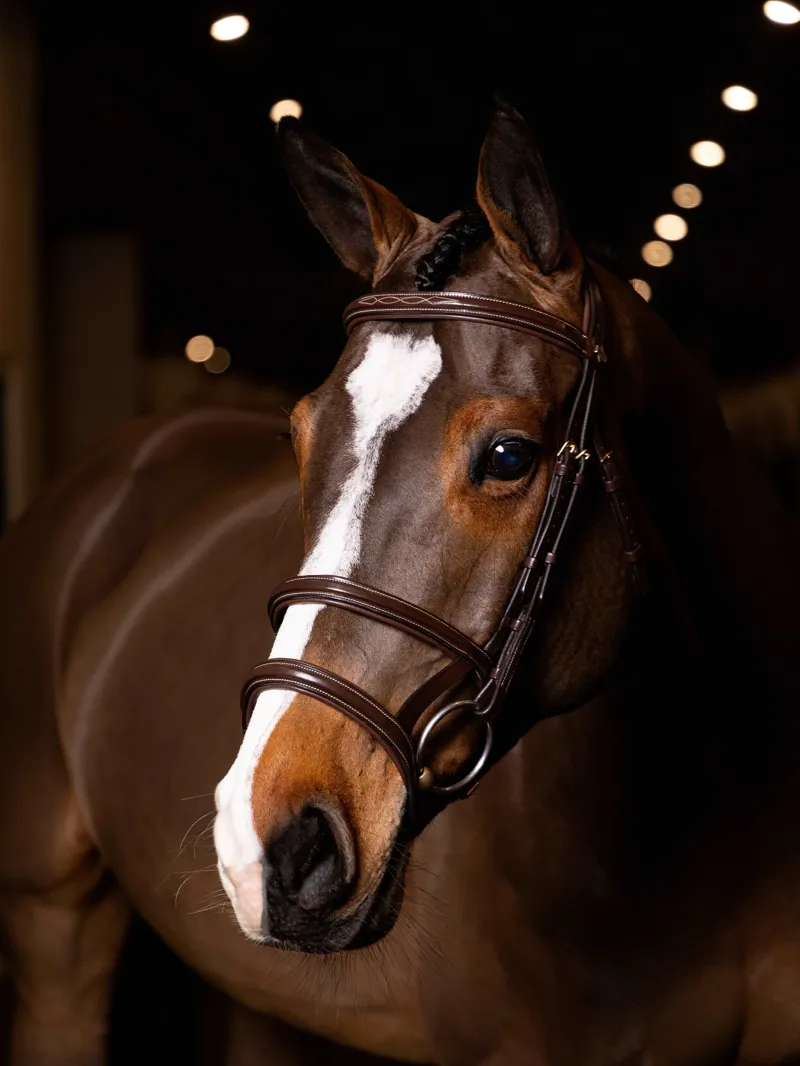 LeMieux Kudos Double Noseband Bridle - Havana/Brass-2