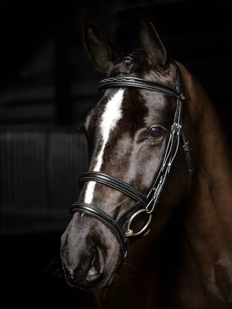 Kudos Double Noseband