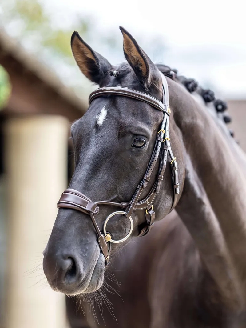 LeMieux Kudos Clear Arc Bridle - Havana / Brass-3