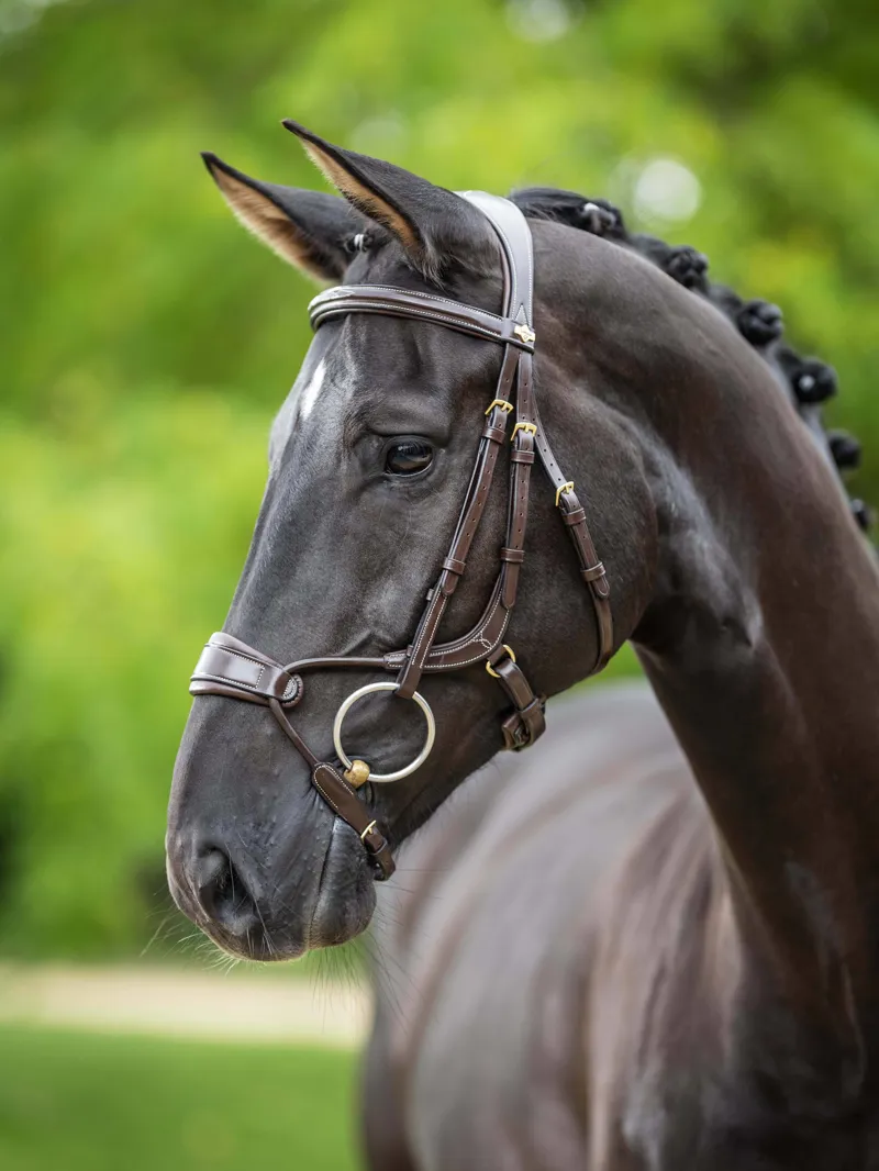 LeMieux Kudos Clear Arc Bridle - Havana / Brass-2