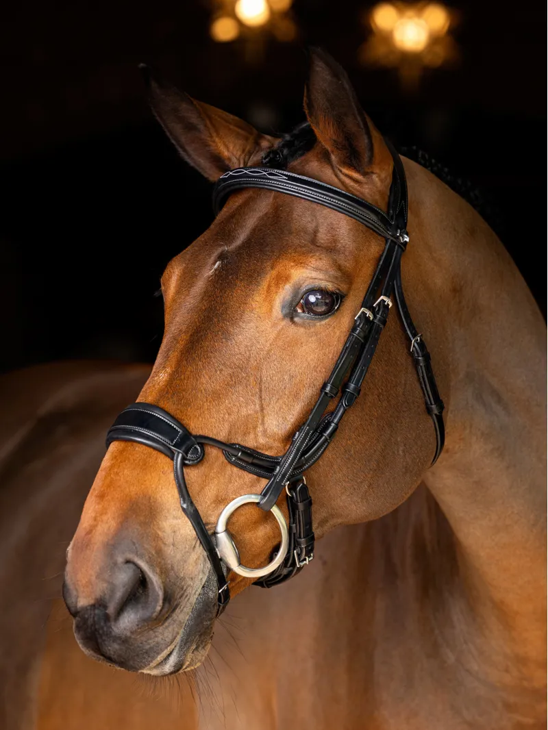LeMieux Kudos Clear Arc Bridle - Black / Silver-1