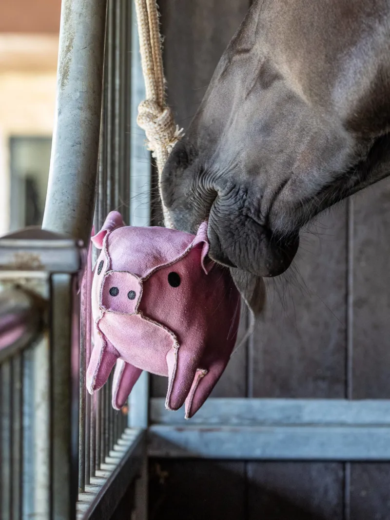 LeMieux Horse Toy - Flying Pig