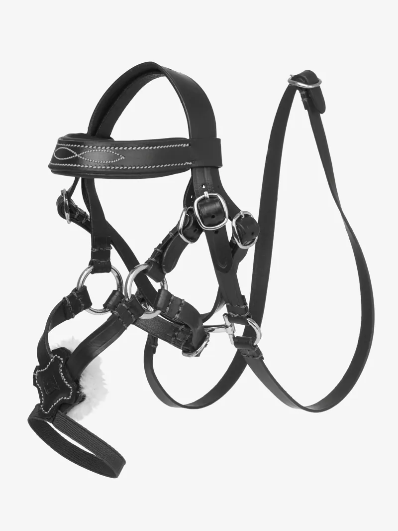 LeMieux Toy Pony Grackle Bridle - Black