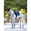 LeMieux Puissance Suede Close Contact Pad - Navy