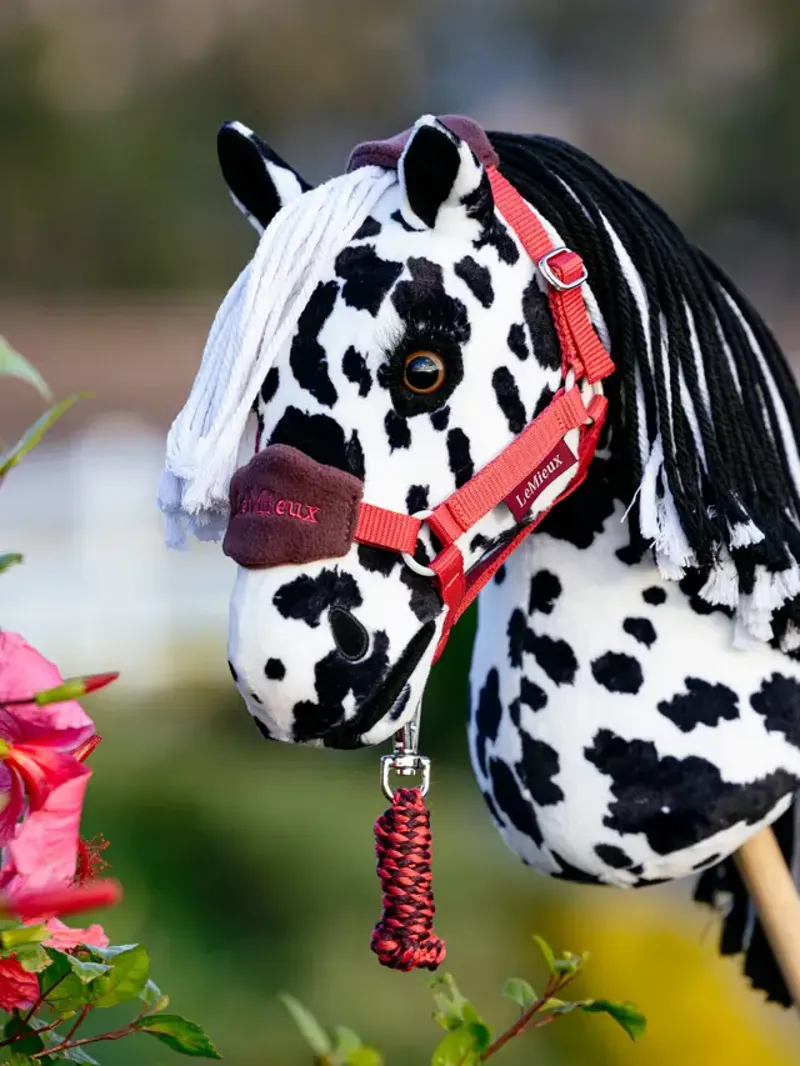 LeMieux Hobby Horse Dakota-1