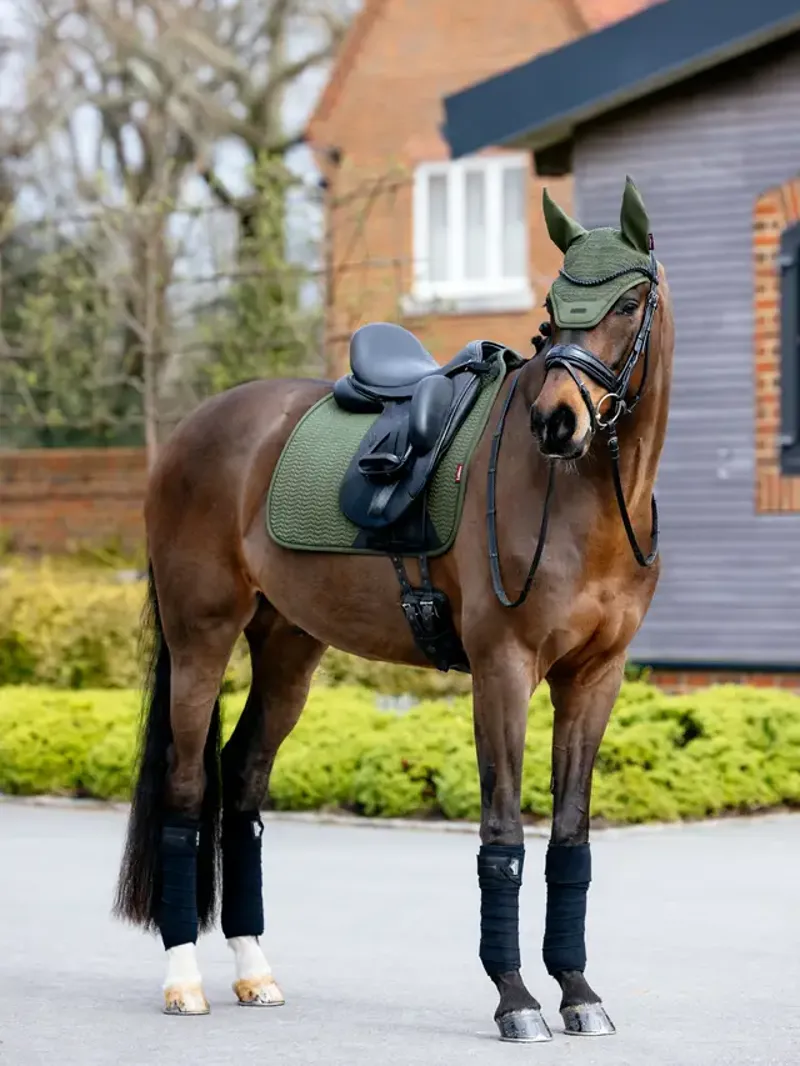 LeMieux Essence Fly Hood - Pine Green-1