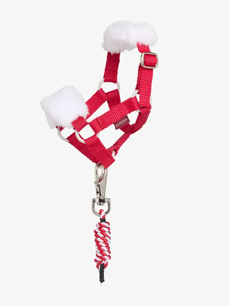 LeMieux Toy Pony Christmas Headcollar and Leadrope Red