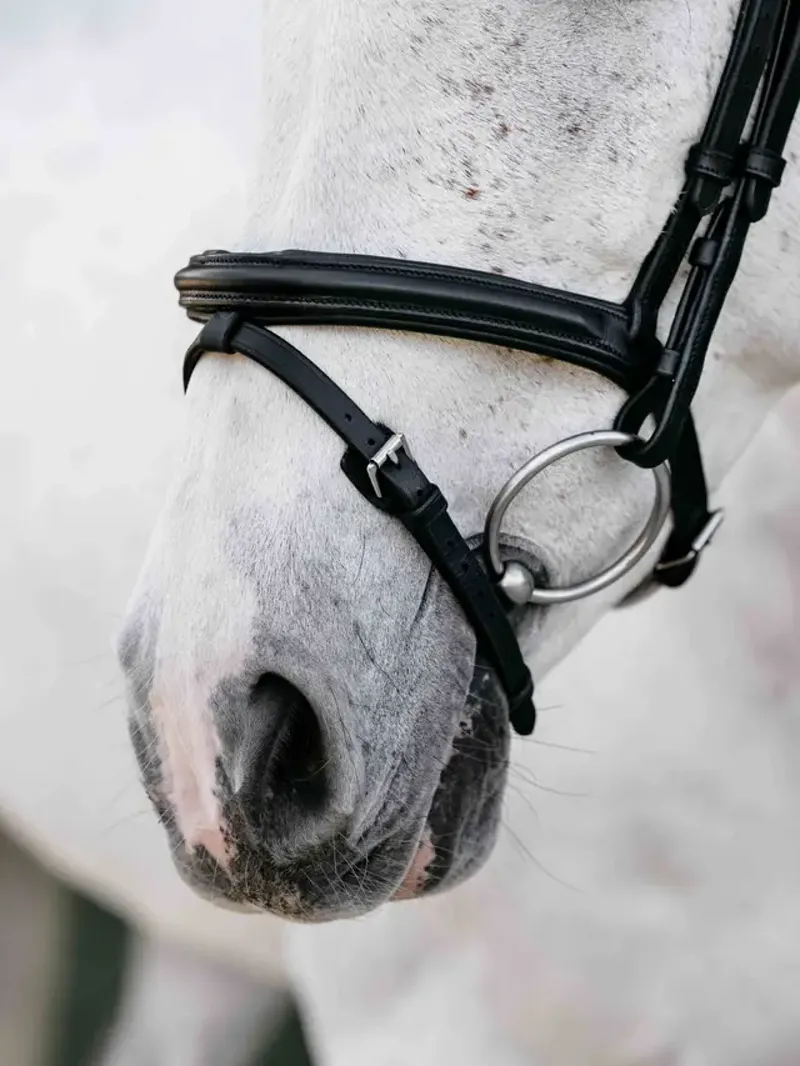 Arika Anatomic Flash Bridle Black/Silver-1